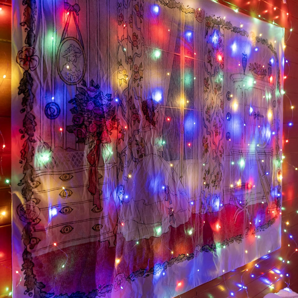 Ollny 200 LEDs 2m*2m USB Kupferdraht Vorhang Lichterkette mit Haken (bunt, IP44 wasserdicht)