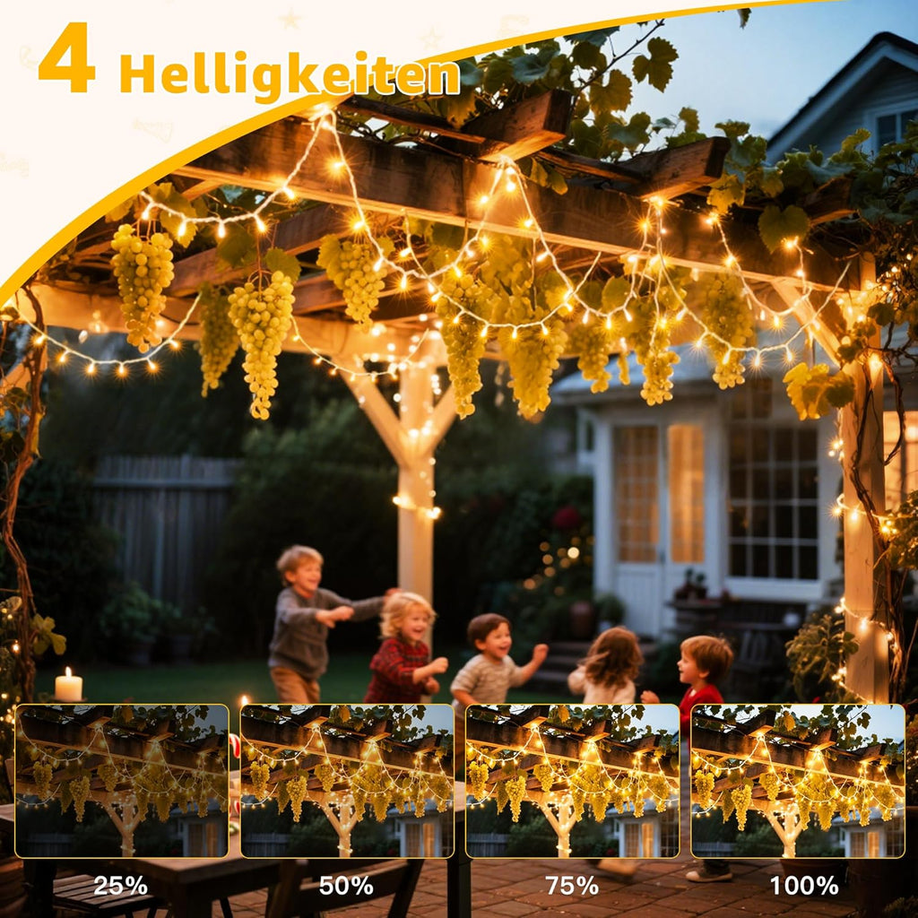 Ollny 800 LEDs 80m Lichterkette außen für Garten Balkon Hochzeit Party (Warmweiß, 8 Modi, IP44 wasserdicht)
