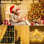 Ollny 300 LEDs 3m*3m USB Kupferdraht Vorhang Lichterkette mit Haken (warmweiß, IP44 wasserdicht)